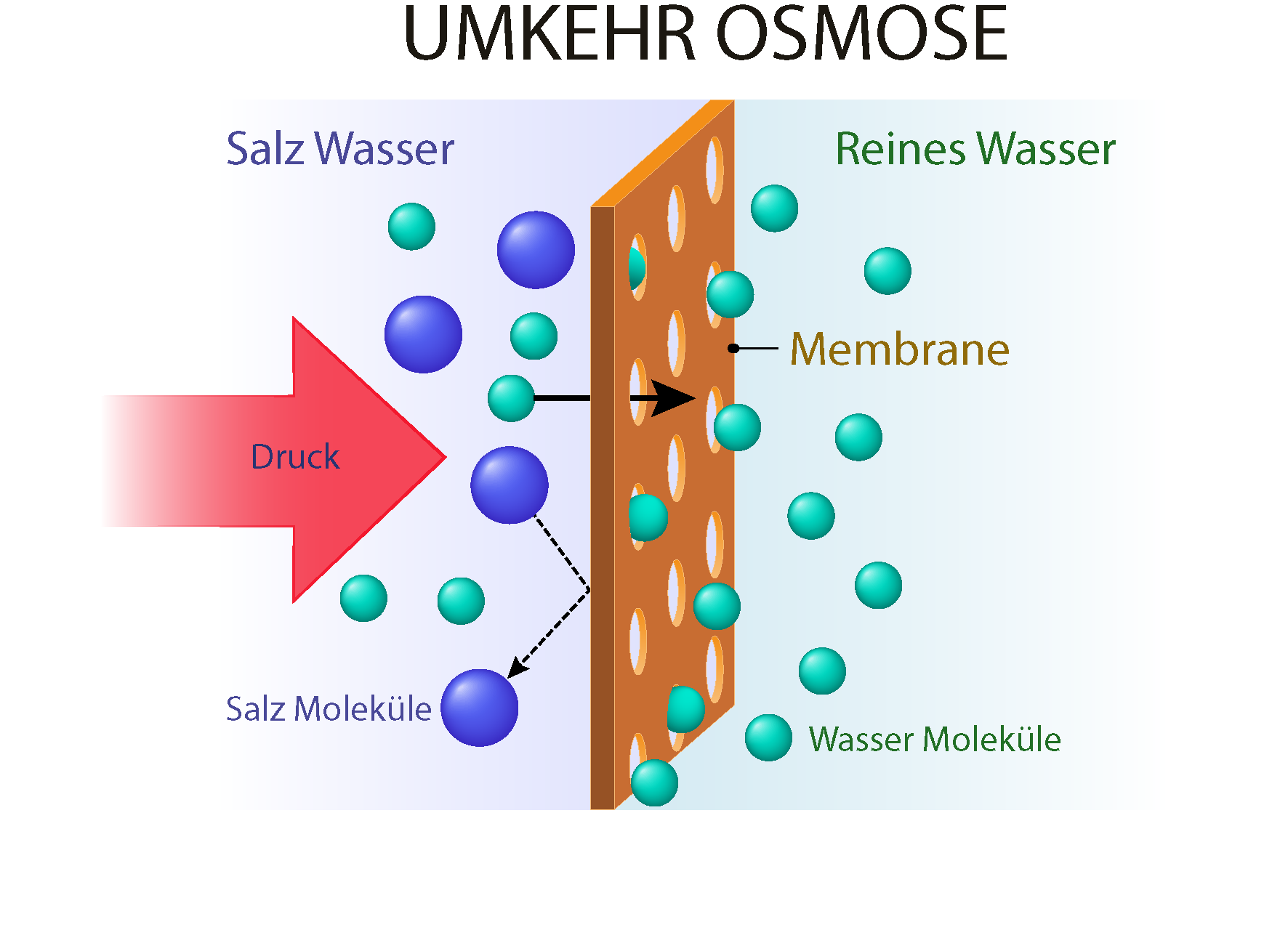 AdobeStock 158915147 Umkehr Osmose Prinzip